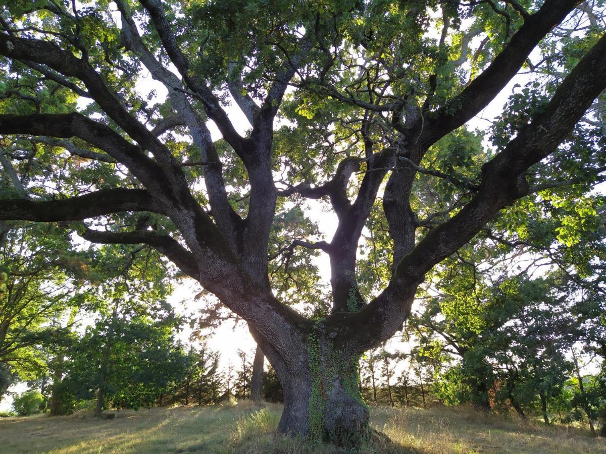 Agriturismo La Villetta San Lorenzo Nuovo المظهر الخارجي الصورة