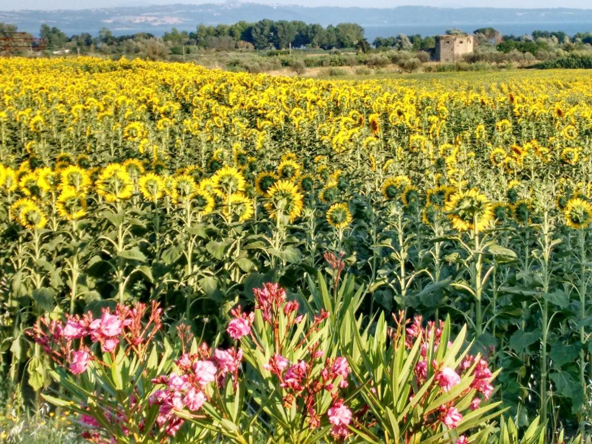 Agriturismo La Villetta San Lorenzo Nuovo المظهر الخارجي الصورة
