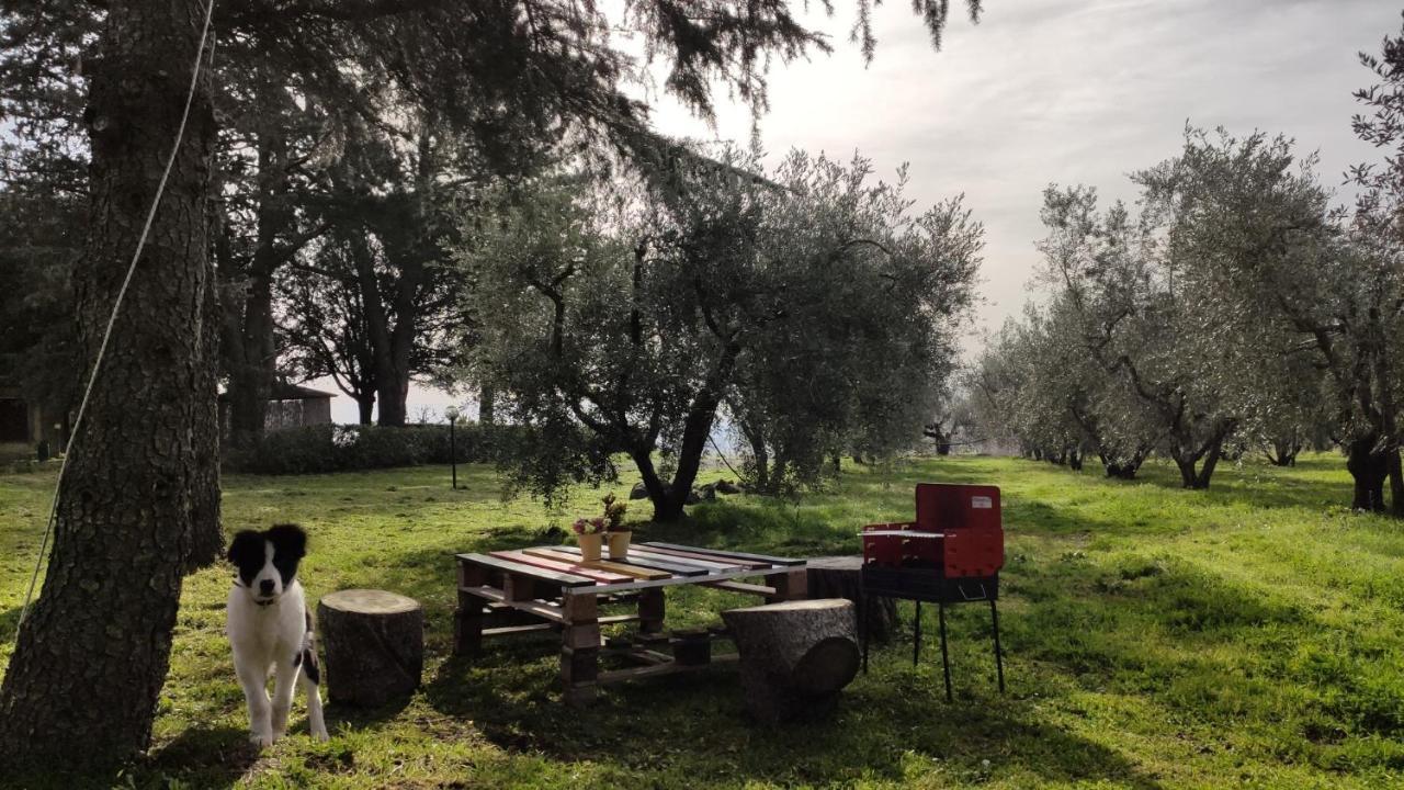 Agriturismo La Villetta San Lorenzo Nuovo المظهر الخارجي الصورة
