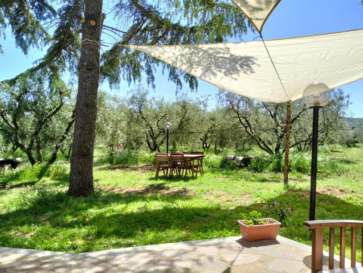 Agriturismo La Villetta San Lorenzo Nuovo المظهر الخارجي الصورة