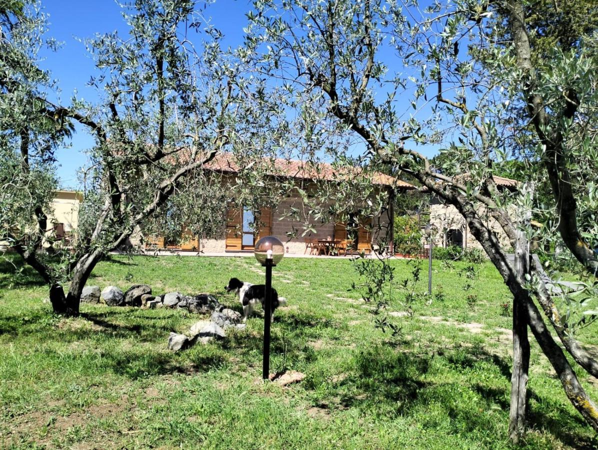 Agriturismo La Villetta San Lorenzo Nuovo المظهر الخارجي الصورة