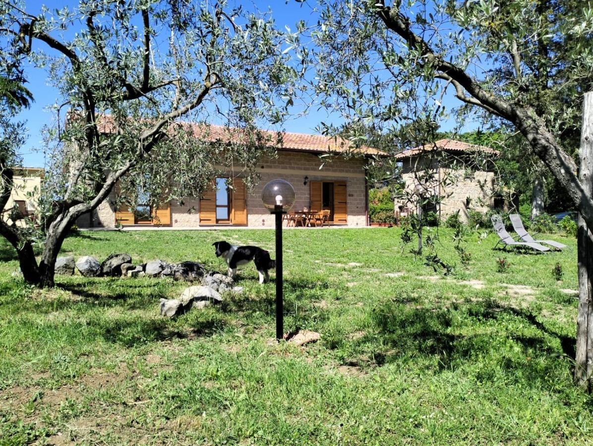 Agriturismo La Villetta San Lorenzo Nuovo المظهر الخارجي الصورة